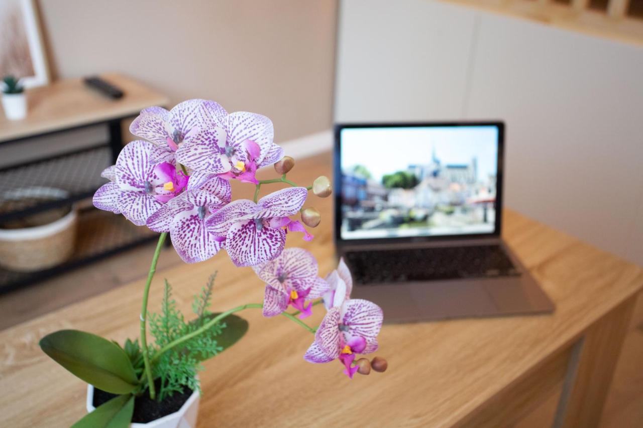 L'Estrade D'Amiens - Studio Atypique Et De Standing - Wifi Haut Debit - 2P 外观 照片